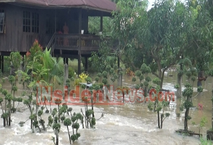 Hujan Sehari Semalam! Ratusan Rumah Di Pinrang Terendam Banjir ...